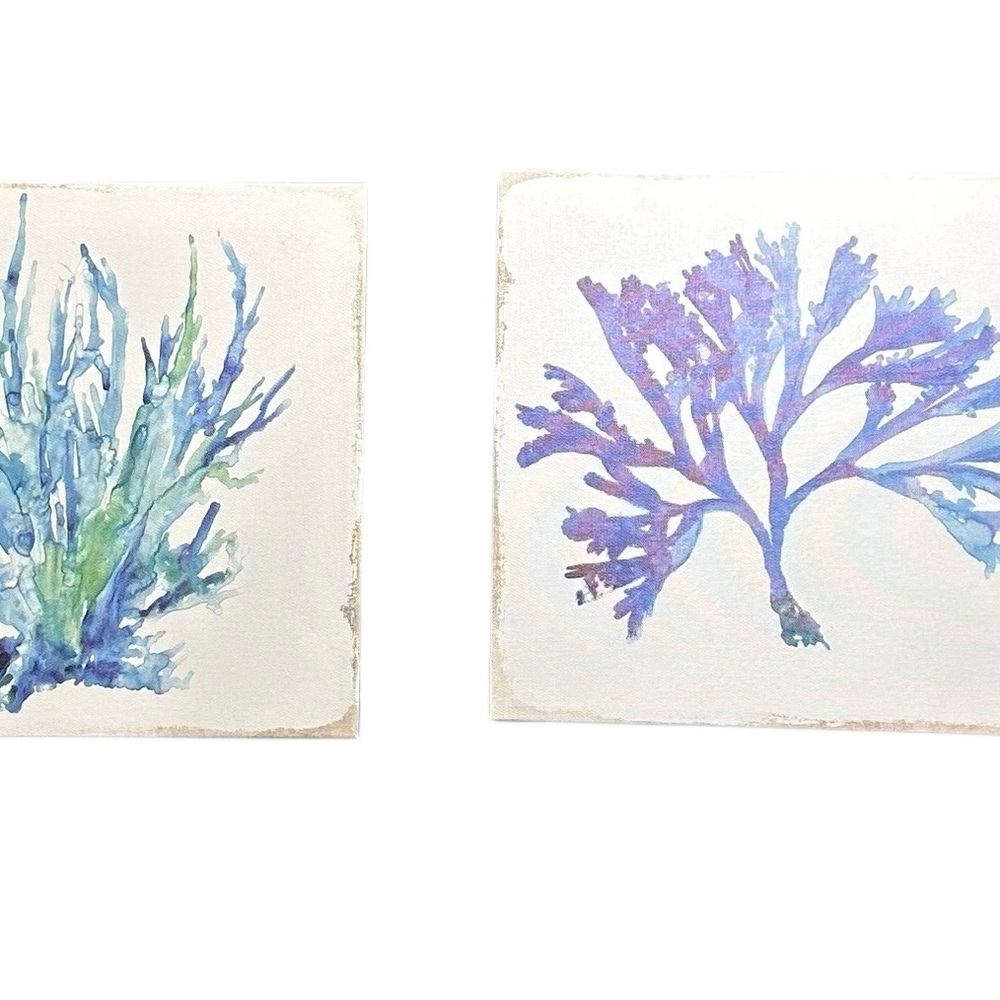 Set of Two Botanical Art Prints - Picture 4 of 15